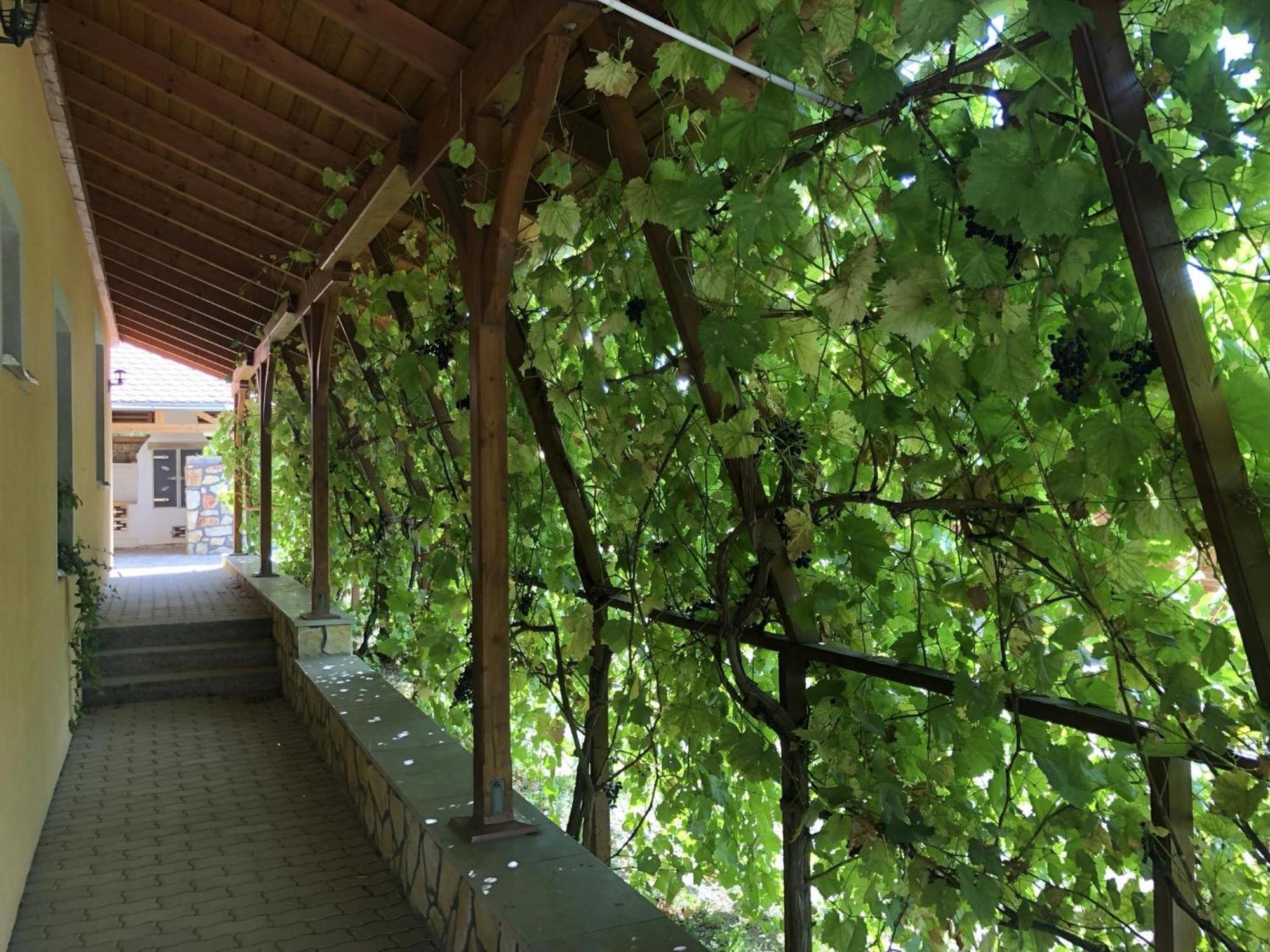 Tiszafa Vendeghaz Szentgal Hotel Exterior foto